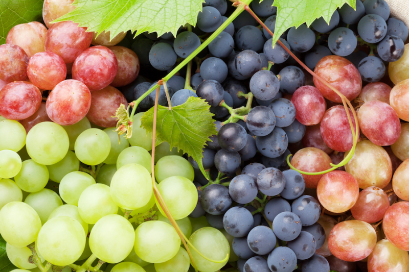 Grape: Health from the Vine