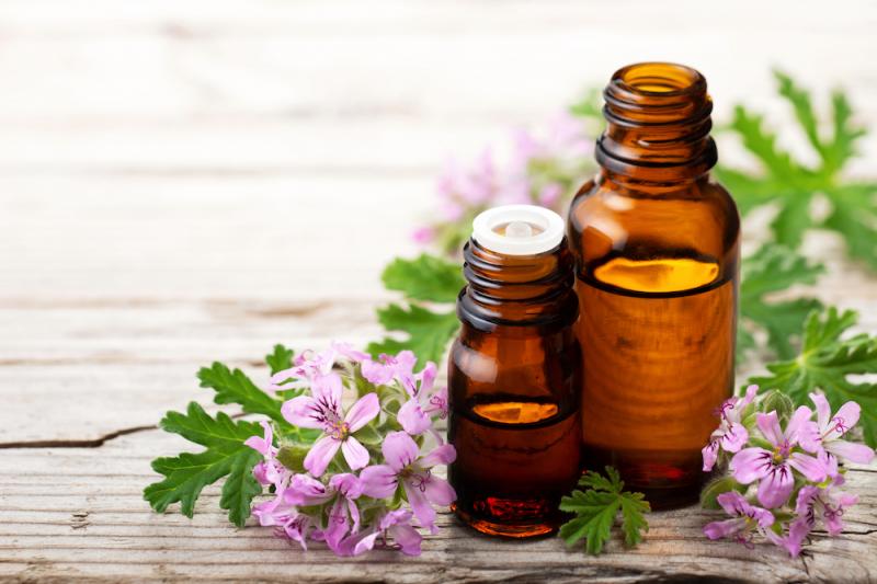 Rose Geranium and Wild Geranium